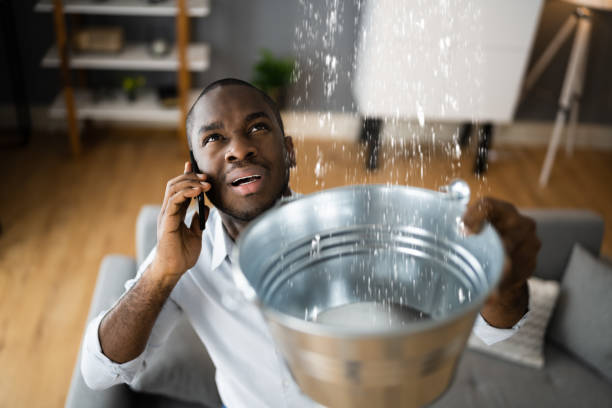 Best Water damage restoration near me  in Mansura, LA