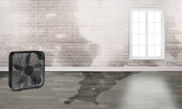Water damage restoration experts in Mansura, LA