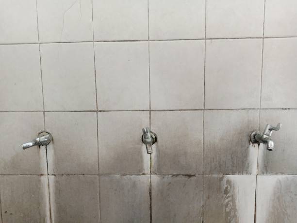Best Basement water damage restoration  in Mansura, LA