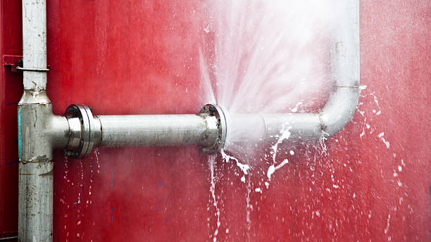 Best Professional water damage repair  in Mansura, LA